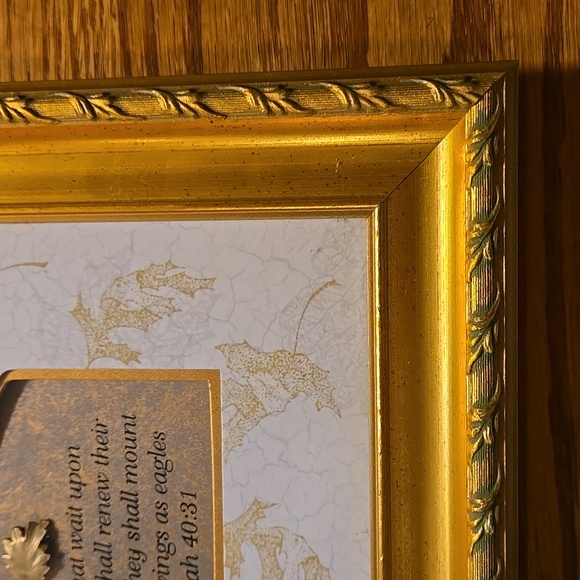 Isaiah 40:31 Gold Frame - Picture 5 of 14